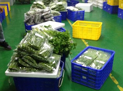 武漢蔬菜配送公司案例展示